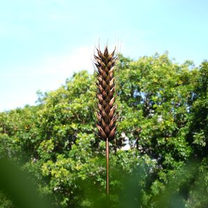 Outdoor stainless steel harvest wheat ear sculpture modern art garden decoration