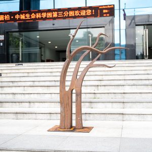 Weathering Steel Sculptures Rusted Steel Outdoor Modern Artwork